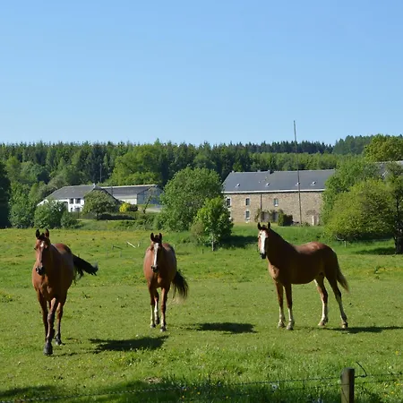 Ferienhaus Holiday Home In Cetturu With Sauna, Cleaning Included *